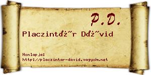 Placzintár Dávid névjegykártya
